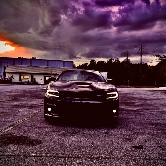 Meet your Posher, Rafael - Picture 1 of 1